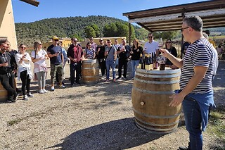 Una visita al viñedo y degustación para 2 en Bodega El Seseo en Cehegín (Murcia)