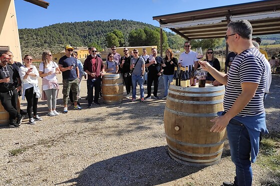 Una visita al viñedo y degustación para 2 en Bodega El Seseo en Cehegín (Murcia)