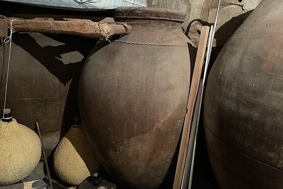 Una visita al viñedo y degustación para 2 en Bodega El Seseo en Cehegín (Murcia)