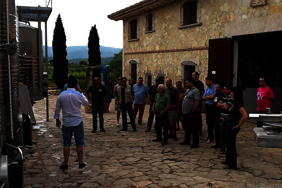 Una visita a la bodega con cata y una comida para 2 en Bodegas y viñedos Barón D'Alba en Les Useres (Castellón)