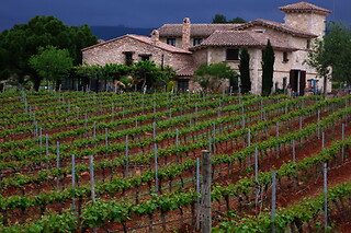 Una visita a la bodega con cata y una comida para 2 en Bodegas y viñedos Barón D'Alba en Les Useres (Castellón)