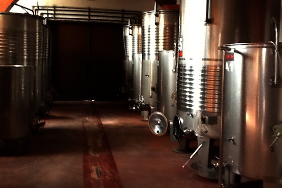 Una visita a la bodega con cata y una comida para 2 en Bodegas y viñedos Barón D'Alba en Les Useres (Castellón)