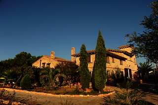Una visita a la bodega con cata y una comida para 2 en Bodegas y viñedos Barón D'Alba en Les Useres (Castellón)