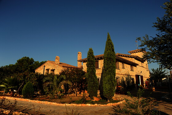Una visita a la bodega con cata y una comida para 2 en Bodegas y viñedos Barón D'Alba en Les Useres (Castellón)