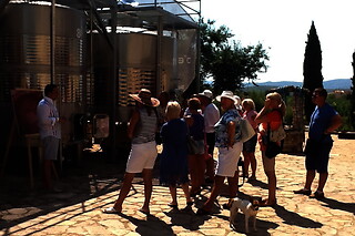 Una visita a la bodega con cata y una comida para 2 en Bodegas y viñedos Barón D'Alba en Les Useres (Castellón)