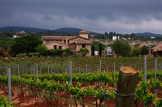 Una visita a la bodega con cata y una comida para 2 en Bodegas y viñedos Barón D'Alba en Les Useres (Castellón)