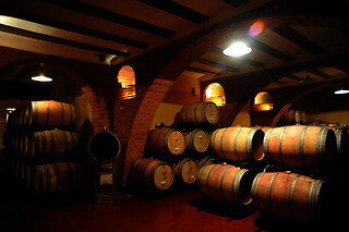 Una visita a la bodega con cata y una comida para 2 en Bodegas y viñedos Barón D'Alba en Les Useres (Castellón)