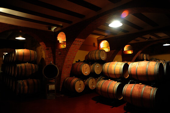 Una visita a la bodega con cata y una comida para 2 en Bodegas y viñedos Barón D'Alba en Les Useres (Castellón)