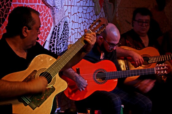 Una cena con espectáculo para 2 en Tablao Flamenco Valencia EL Toro y la Luna en Valencia