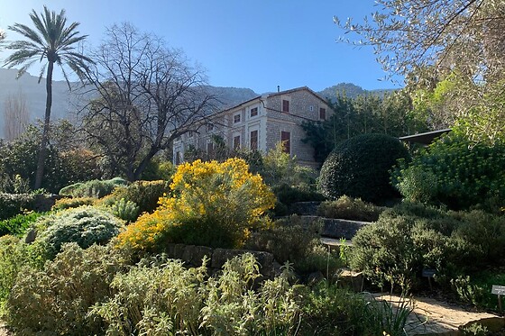 JARDIN BOTANICO DE SOLLER - photo 8