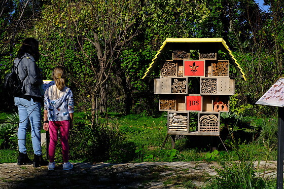 JARDIN BOTANICO DE SOLLER - photo 3