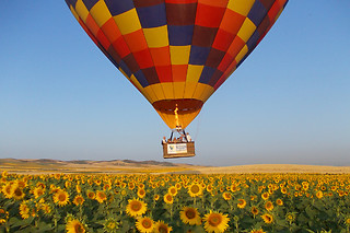 Un vuelo en globo para 1 en Gloobo en Ronda (Málaga)