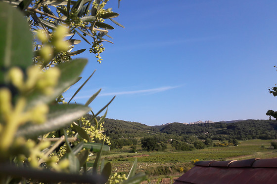 Domaine Charols - photo 2