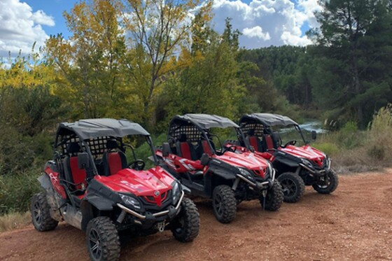 Un alquiler de buggy para 2 en Alonis Jet 4x4 en Cilanco (Albacete)