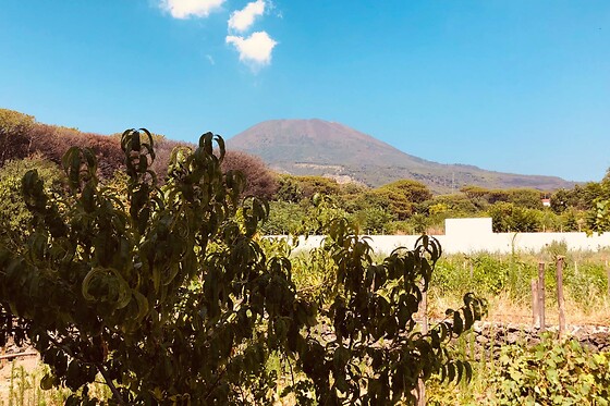 Villa Mazza al Vesuvio - photo 4