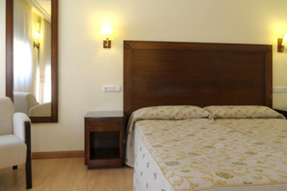 HOTEL ABADÍA BURGOS - photo 5