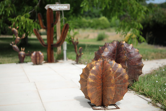 Dejeunez Sous L'arbre - photo 21