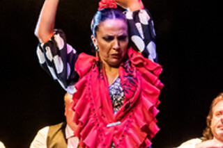 Una sesión General y Meet & Greet con los artistas para 2 en Teatro Flamenco Granada en Granada