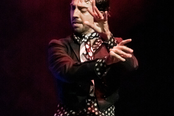 TEATRO FLAMENCO GRANADA - photo 12