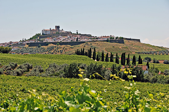 J. PORTUGAL RAMOS WINES II & SPIRIT - photo 4