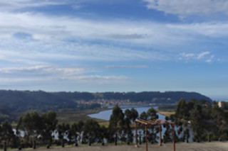 Un masaje de espalda al frescor de uva para 2 en Hotel Palacio de la Magdalena en Soto del Barco (Asturias)