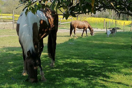 Au clos du lit - photo 10