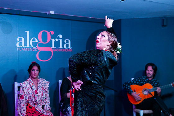 Espectáculo de flamenco con degustación en Málaga
