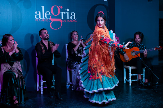 Espectáculo de flamenco con degustación en Málaga