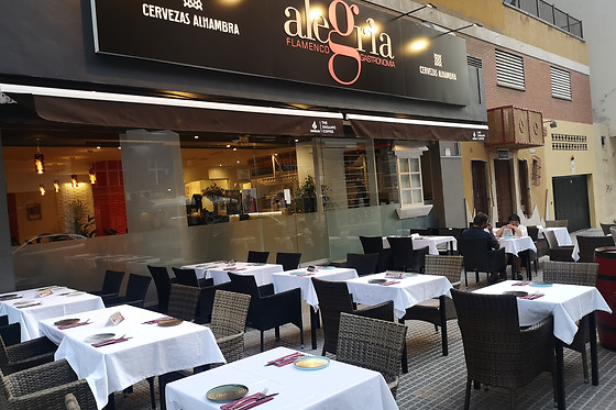 Espectáculo de flamenco con degustación en Málaga