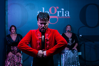 Espectáculo de flamenco con degustación en Málaga