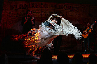 Un espectáculo flamenco con tapeo para 2 en Flamenco de Leones en Madrid