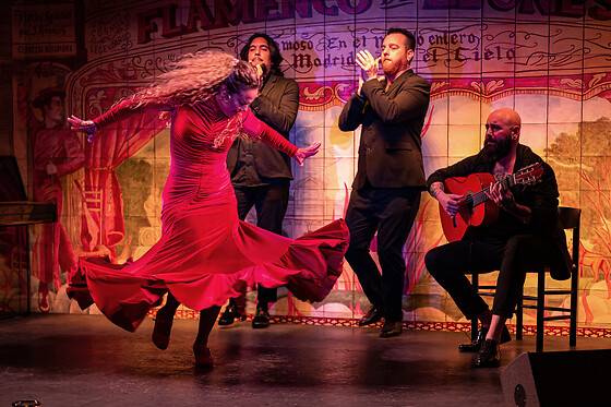 Un espectáculo flamenco con tapeo para 2 en Flamenco de Leones en Madrid