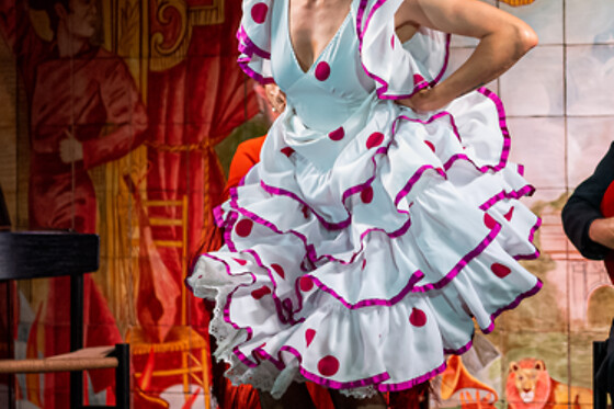 Un espectáculo flamenco con tapeo para 2 en Flamenco de Leones en Madrid