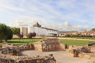 Una actividad Corral Experience para 1 en Bodegas Corral en Navarrete (La Rioja)