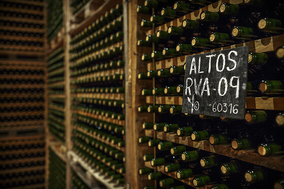 Una actividad Corral Experience para 1 en Bodegas Corral en Navarrete (La Rioja)