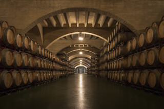Una actividad Corral Experience para 1 en Bodegas Corral en Navarrete (La Rioja)