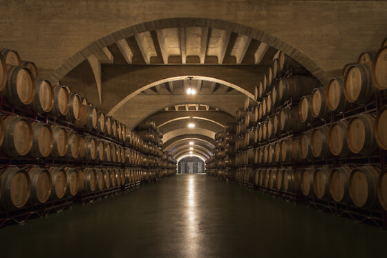 Una actividad Corral Experience para 1 en Bodegas Corral en Navarrete (La Rioja)