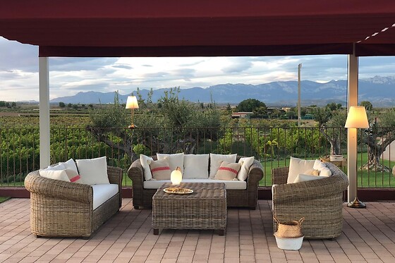 Una actividad Corral Experience para 1 en Bodegas Corral en Navarrete (La Rioja)