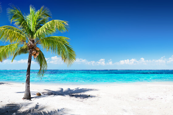 7 días por El Caribe