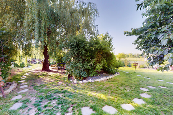 Le Souffle du Saule - photo 42