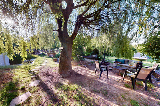 Le Souffle du Saule - photo 43