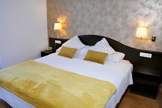 HOTEL VILLA DE BIAR - photo 5