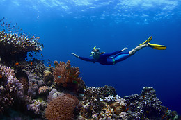 SCUBA PLUS