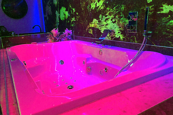 Luxury Spa Suite - photo 4