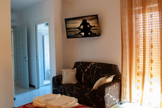 B&B Fly - photo 4