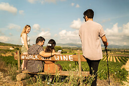 CELLER MAS VICENS