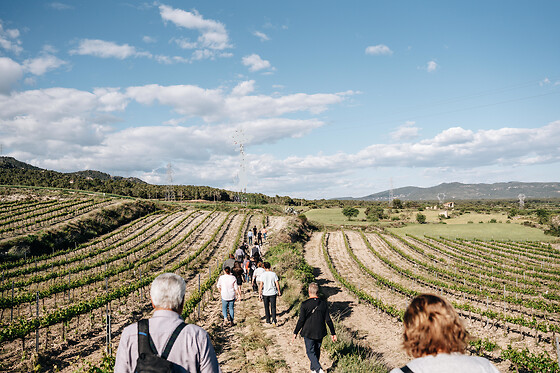 CELLER MAS VICENS - photo 8