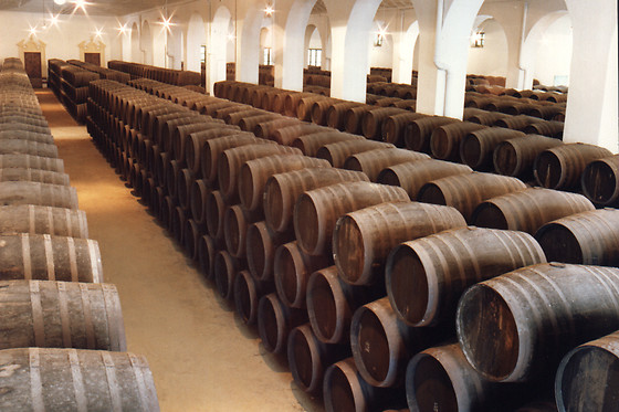 BODEGAS PEREZ BARQUERO - photo 1