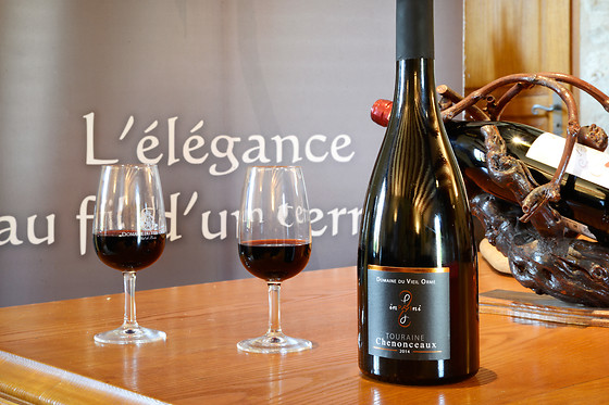 Domaine du Vieil Orme - photo 4