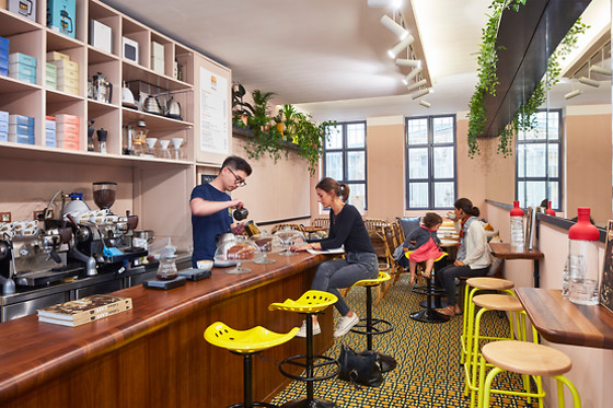Terres de Café - photo 2